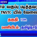 10வது தேர்ச்சி பெற்றிருந்தால் தமிழ்நாடு போக்குவரத்து கழகத்தில் வேலை.! TNSTC Recruitment | 3274 ஓட்டுநர், நடத்துநர் காலியிடங்கள்