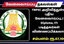 TNPSC அறிவித்துள்ள புதிய வேலைவாய்ப்பு..! Diploma, ITI படித்தவர்கள் விண்ணப்பிக்கலாம் TNPSC CTS Jobs